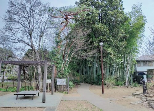 公園　吉祥寺の杜 宮本小路公園（公園）まで589m