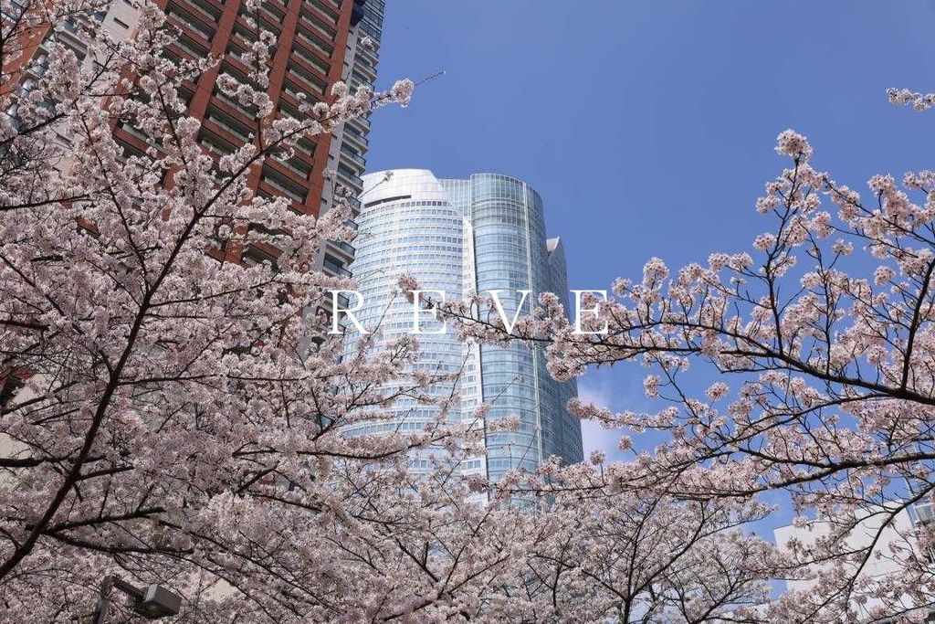 その他　六本木駅(東京メトロ 日比谷線)（その他）まで760m