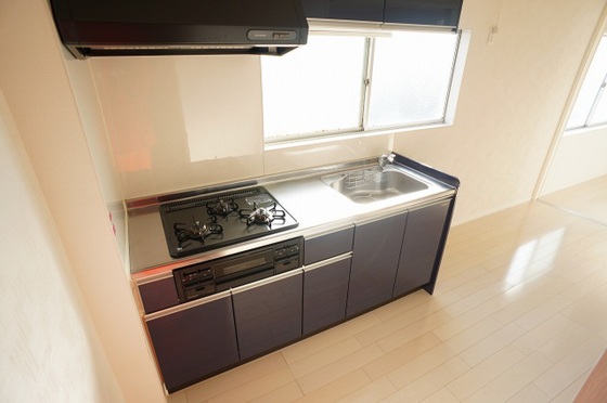 キッチン　※別部屋の写真です