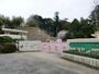 幼稚園・保育園　川島幼稚園（幼稚園・保育園）まで980m