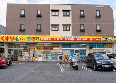 ドラックストア　どらっぐぱぱす 江北6丁目店（ドラッグストア）まで881m