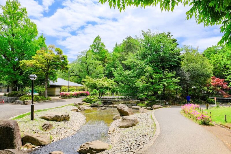 公園　蚕糸の森公園（公園）まで250m