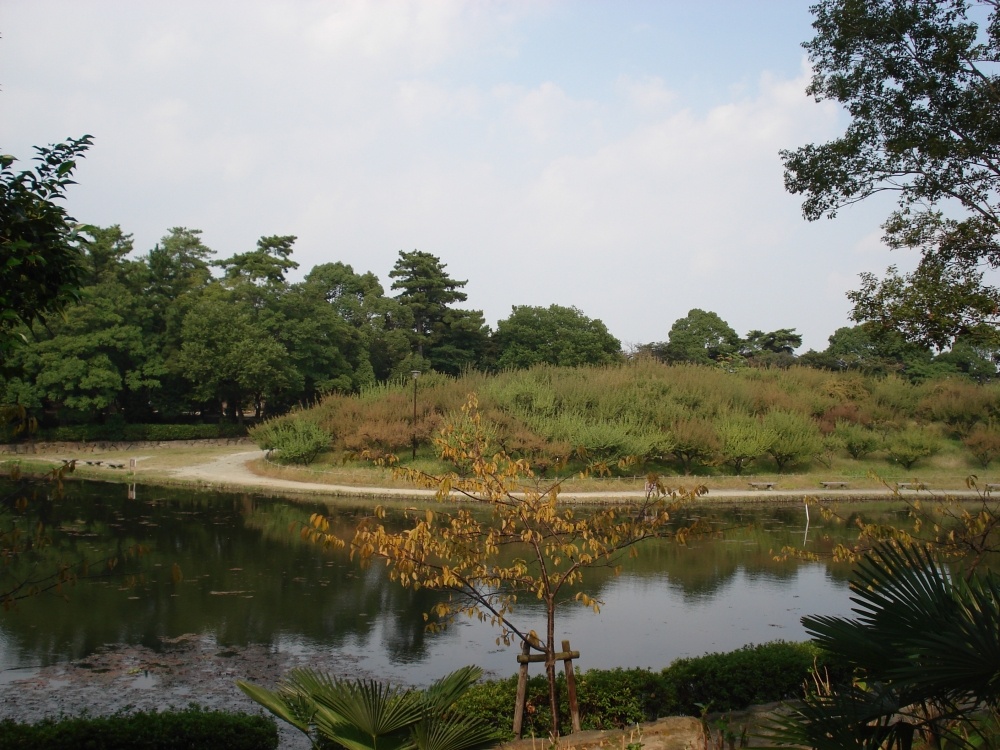 公園　緑ケ丘公園（公園）まで827m