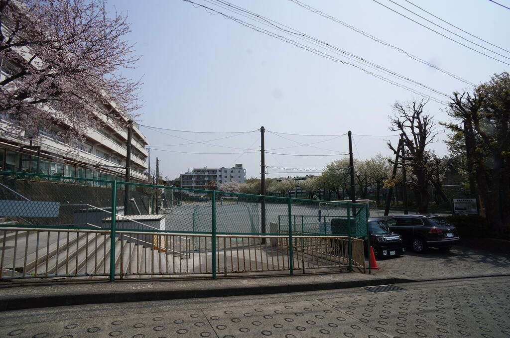 小学校　横浜市立善部小学校（小学校）まで239m