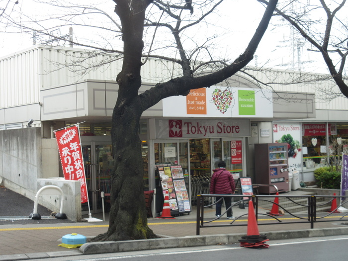スーパー　宮崎台 東急ストア（スーパー）まで116m