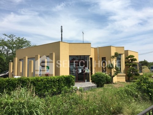 飲食店　トラットリア・アランチョ（飲食店）まで1191m