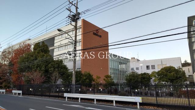 大学・短大　桜美林大学町田キャンパス（大学・短大）まで347m
