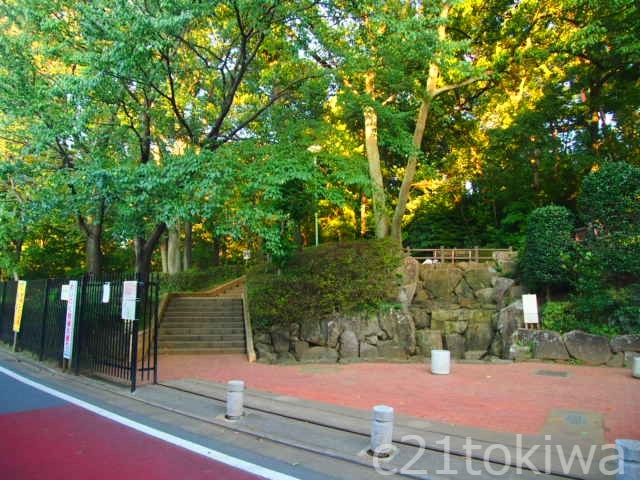 公園　滝の根公園（公園）まで130m