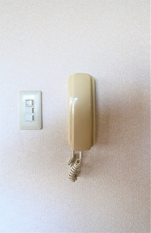 セキュリティ　来客の確認ができます