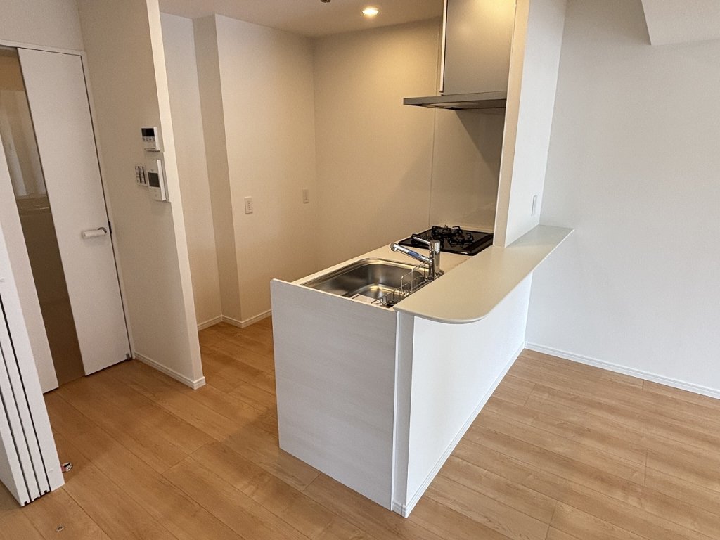 キッチン　カウンター付広めのキッチン廻り　３口システムキッチン