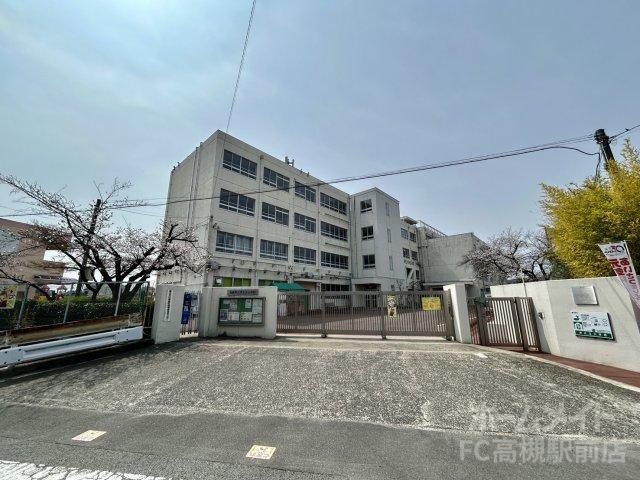 小学校　高槻市立津之江小学校（小学校）まで590m