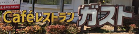 飲食店　ガスト 与野上峰店(から好し取扱店)（飲食店）まで853m