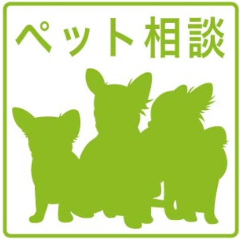 その他設備　★ペット可