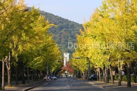 大学・短大　岡山大学 津島キャンパス（大学・短大）まで1088m