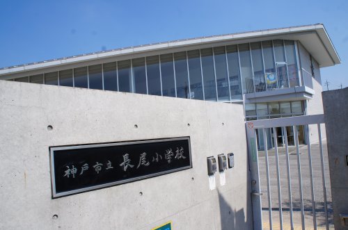 小学校　神戸市立長尾小学校（小学校）まで892m