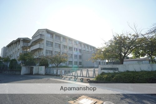 中学校　大和郡山市立片桐中学校（中学校）まで598m