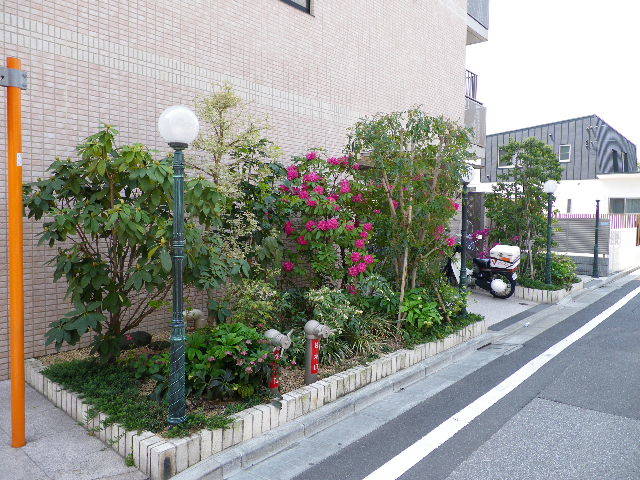 その他　植栽