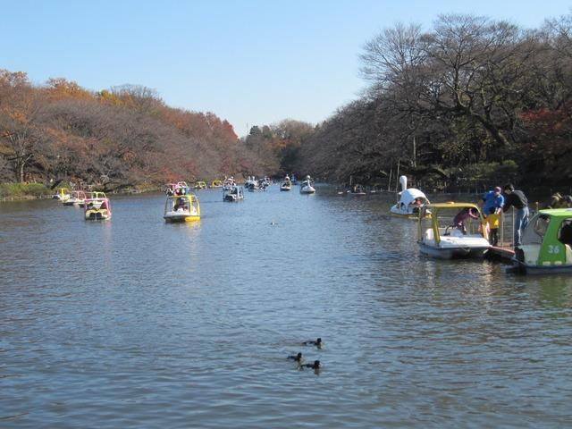 公園　井の頭恩賜公園（公園）まで1650m