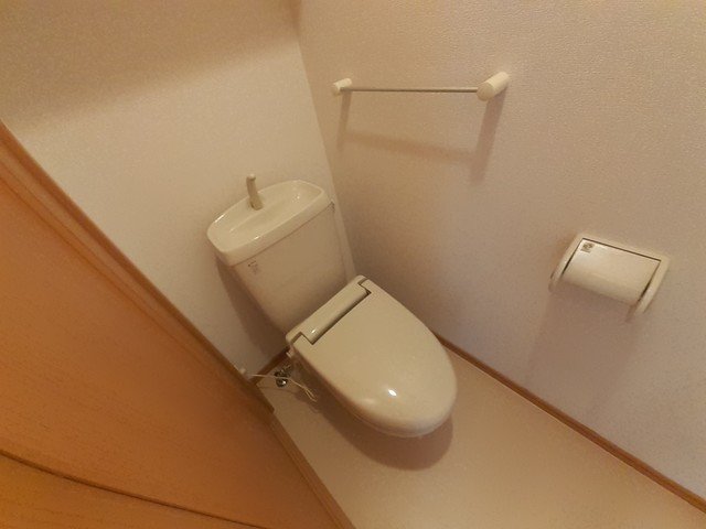 トイレ　トイレも気になるポイント