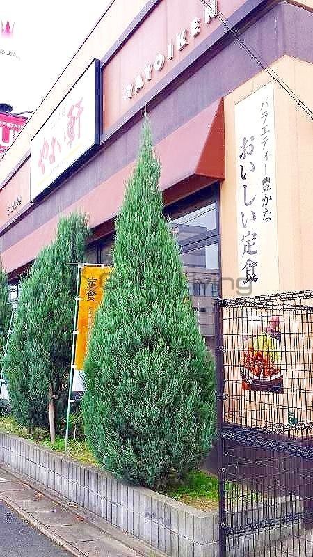 飲食店　やよい軒半道橋店（飲食店）まで500m