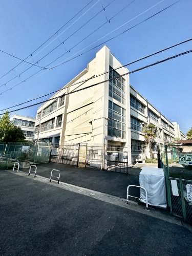 小学校　寝屋川市立啓明小学校（小学校）まで1119m