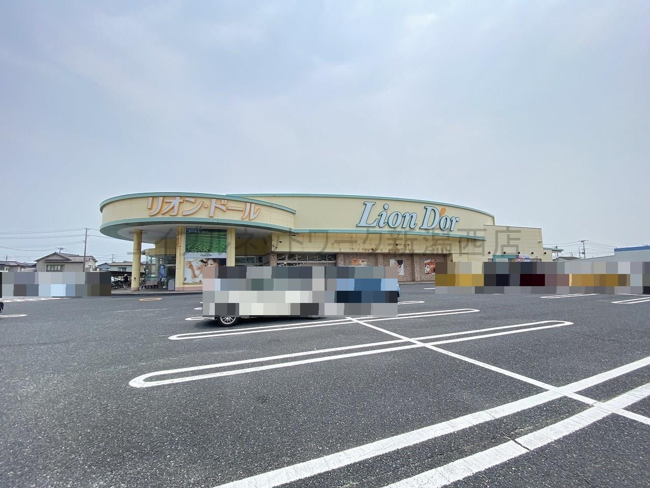 スーパー　リオン・ドール寺尾店（スーパー）まで631m