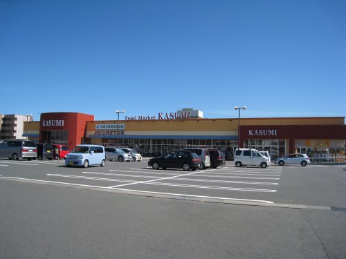 スーパー　フードマーケットカスミ　みどりの駅前店（スーパー）まで3308m