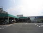 ホームセンター　コメリ（ホームセンター）まで250m