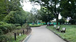 公園　駒場野公園（公園）まで1159m
