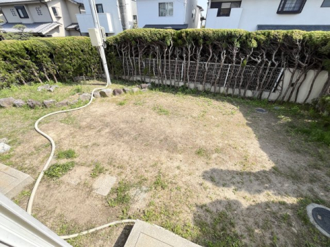 庭