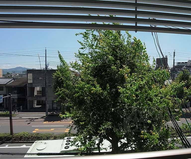 眺望　室外風景