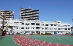 小学校　北区立第四岩淵小学校（小学校）まで517m