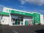 ドラックストア　ザグザグ福山三吉店（ドラッグストア）まで1000m