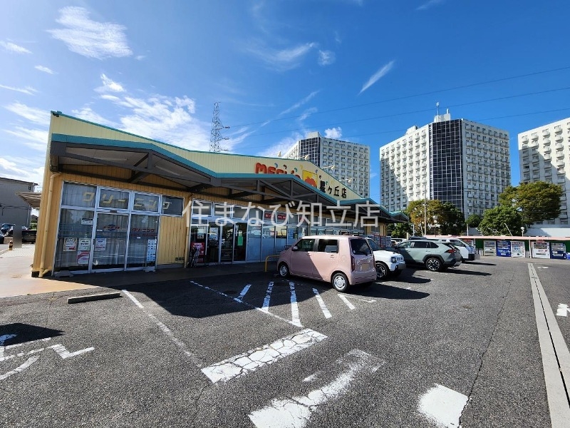 スーパー　メグリアミニ星ケ丘店（スーパー）まで3360m