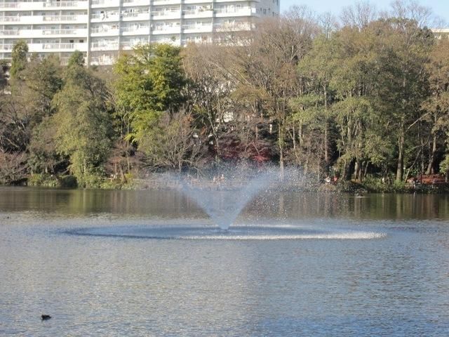 公園　井の頭公園（公園）まで1900m