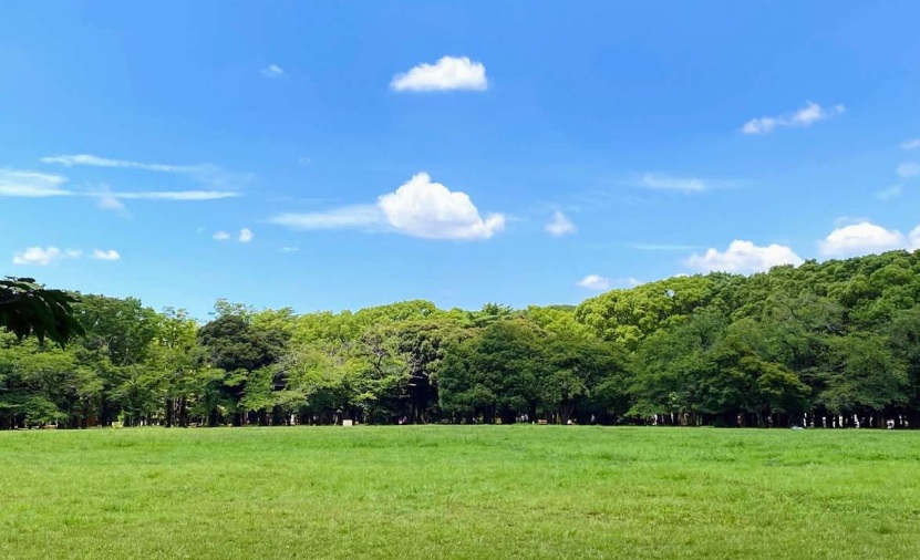 公園　東京都立代々木公園（公園）まで883m
