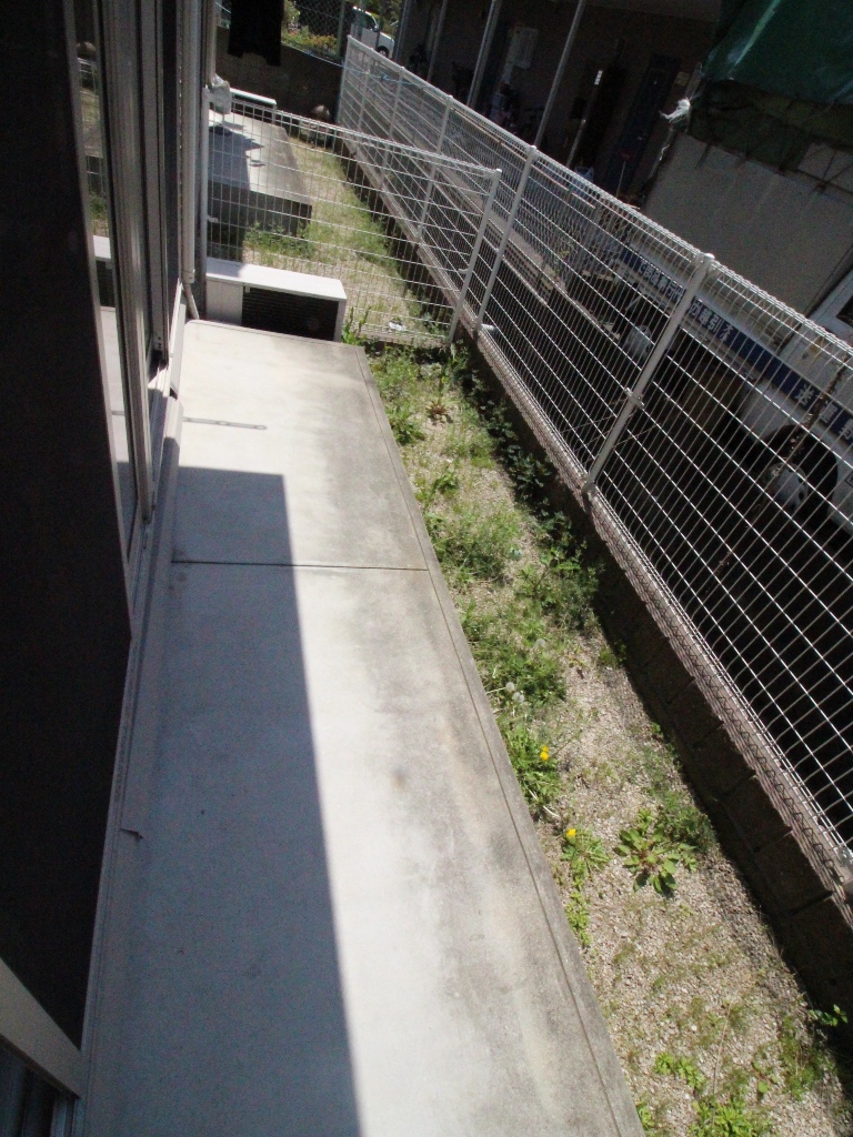庭