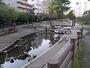 公園　大横川親水公園（公園）まで264m