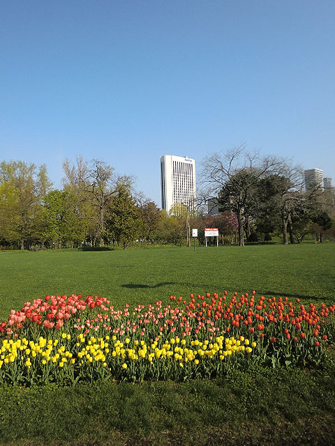 その他　中島公園