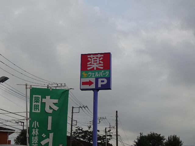 その他　ウェルパーク相模原淵野辺店（その他）まで1006m