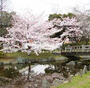 公園　東綾瀬公園（公園）まで1993m