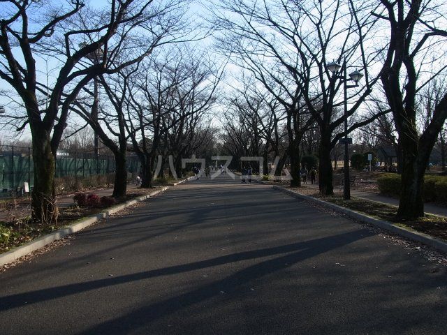 公園　府中の森公園（公園）まで711m