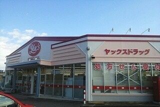 ドラックストア　ヤックスドラッグ成田店（ドラッグストア）まで1000m