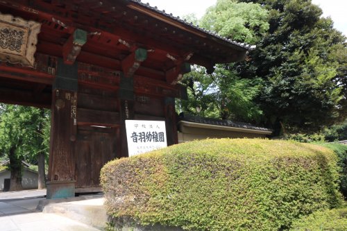 幼稚園・保育園　音羽幼稚園（幼稚園・保育園）まで181m