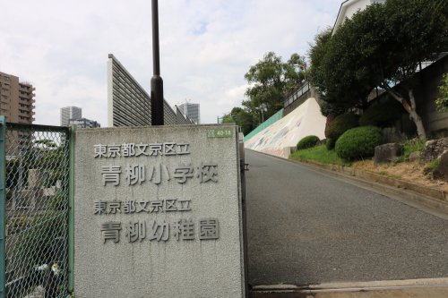 小学校　文京区立青柳小学校（小学校）まで217m