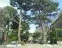 大学・短大　私立成城大学（大学・短大）まで857m
