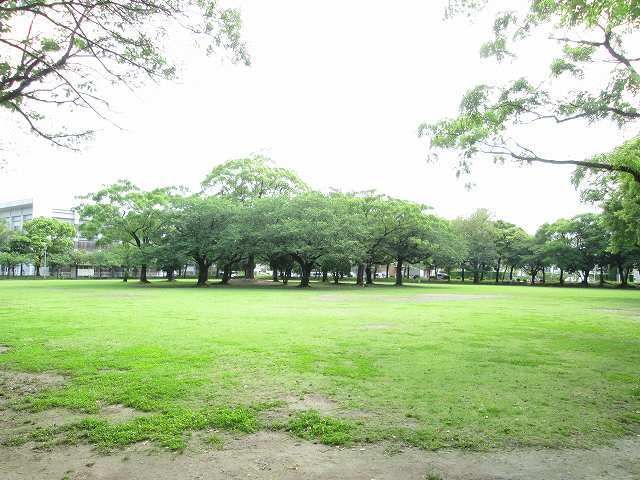 公園　宮崎市中央公園（公園）まで800m