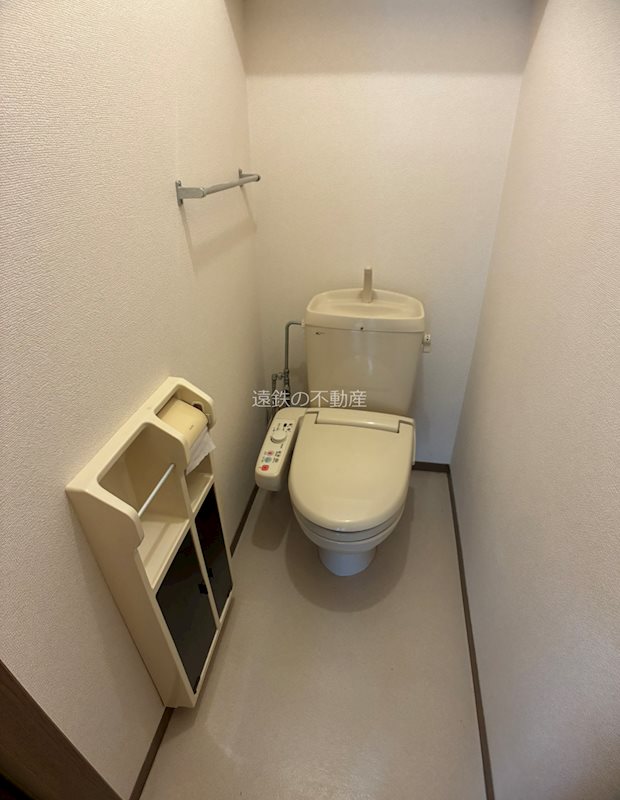 臨江ハイツ2号館Cのトイレ写真