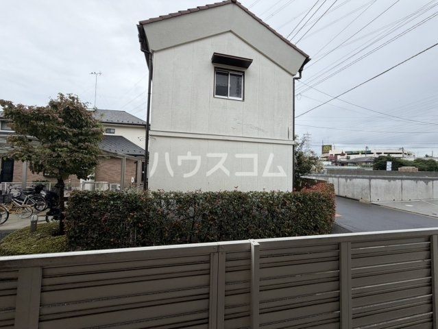 キャロルのその他写真