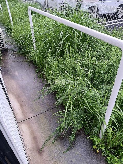 嵐山ハイツ IIの内装写真
